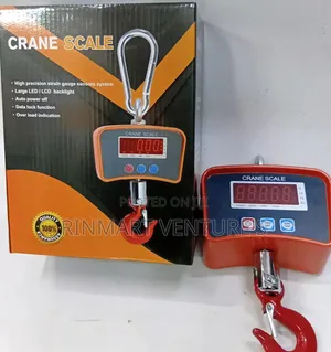 Industrial Generic 500 Kg Crane Scale