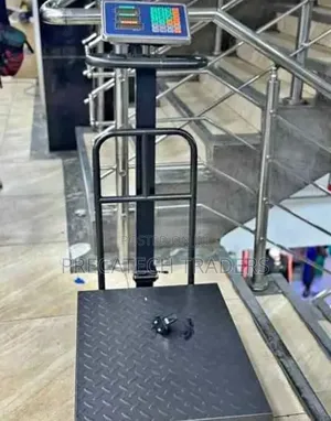 Electronic 100KG Platform Scale With Digital Display