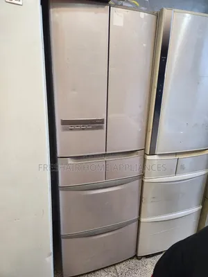Bottom Freezer Specious Fridge