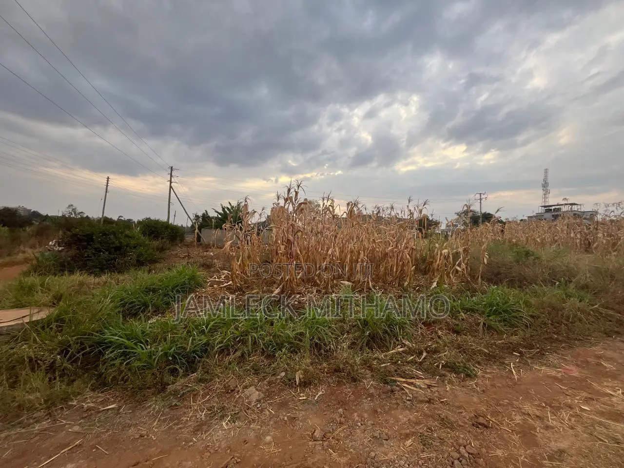 Plot for Sale