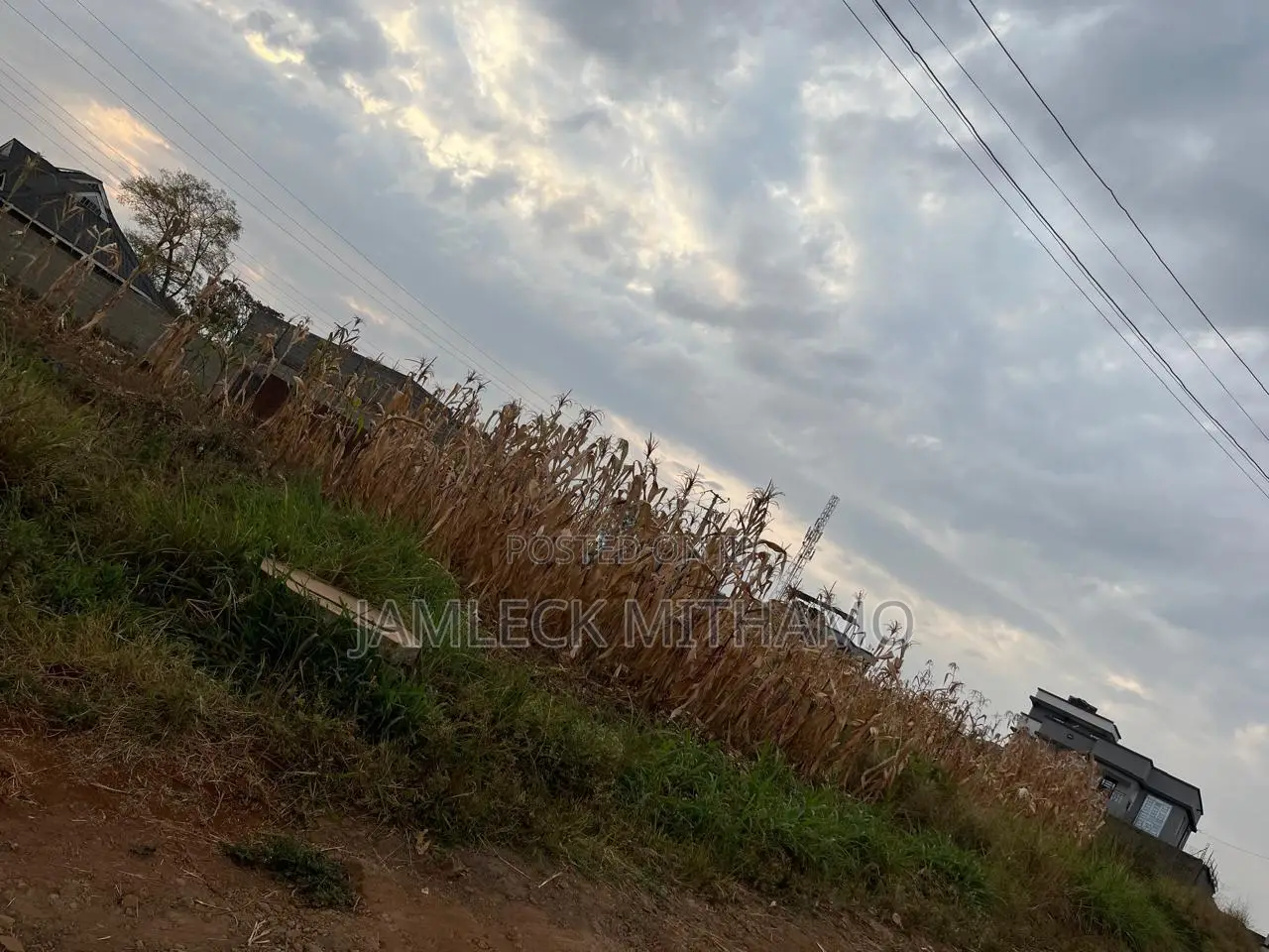 Plot for Sale