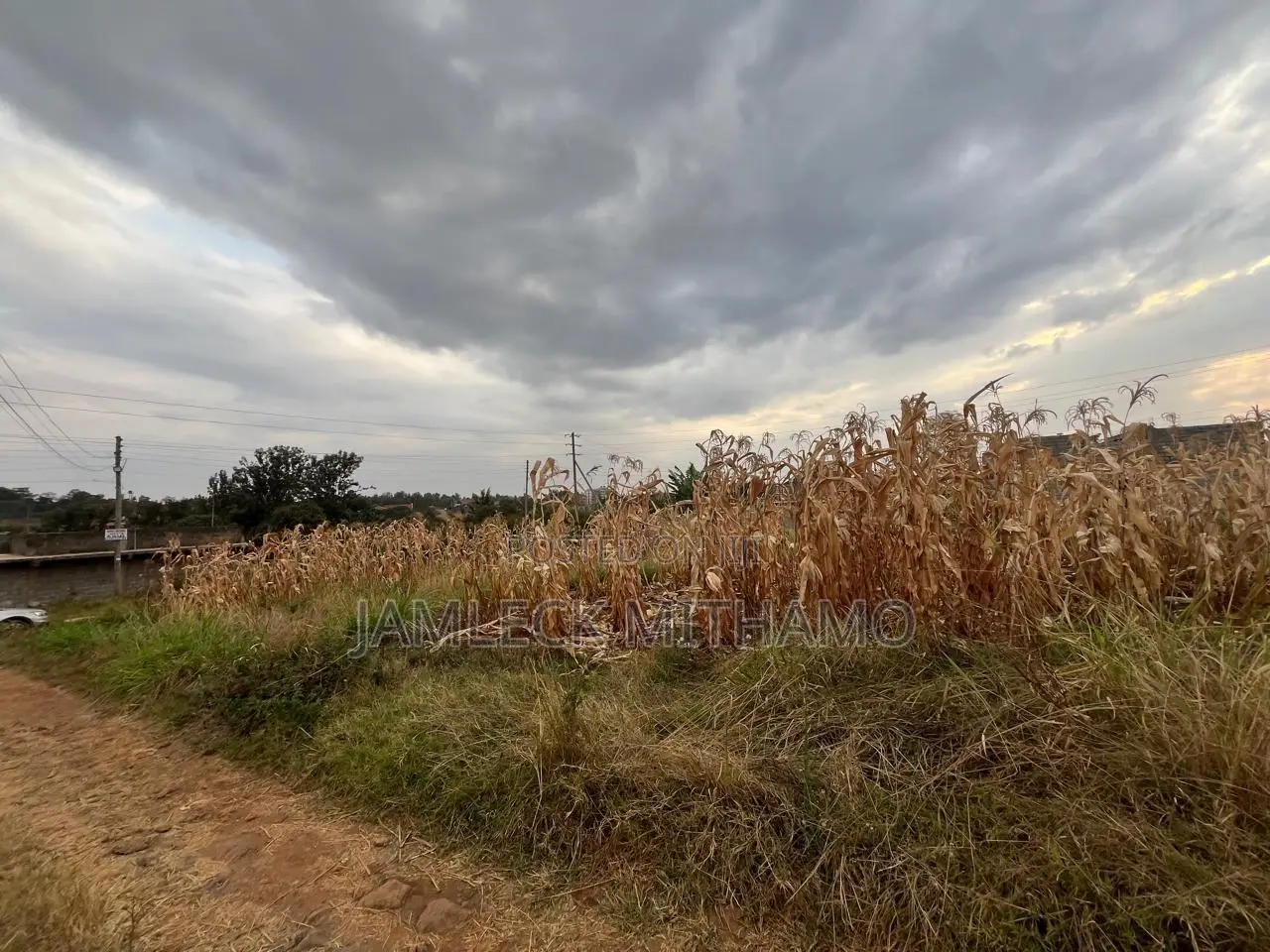 Plot for Sale