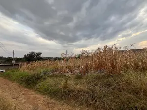 Plot for Sale