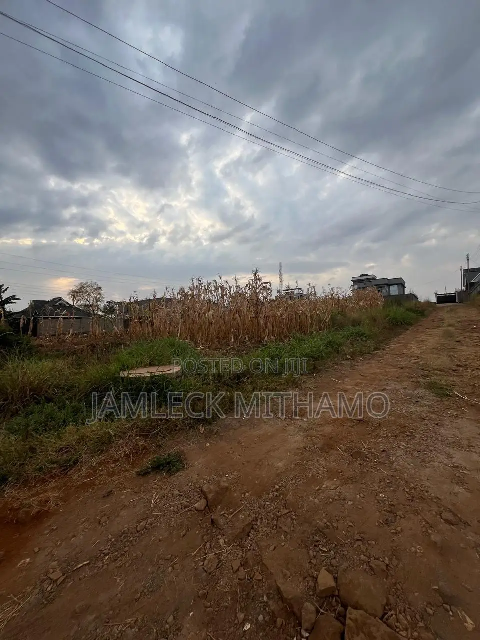 Plot for Sale