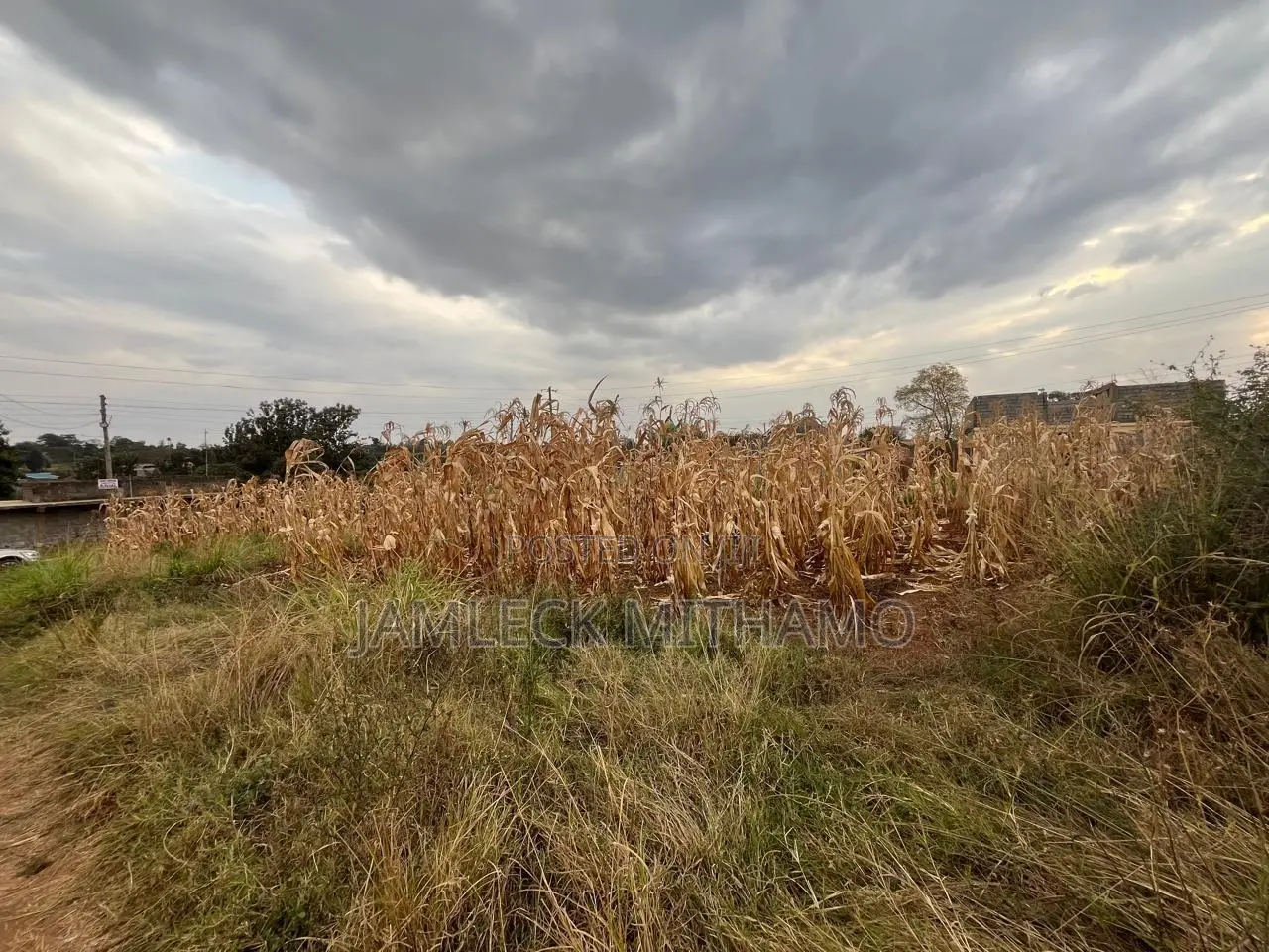 Plot for Sale