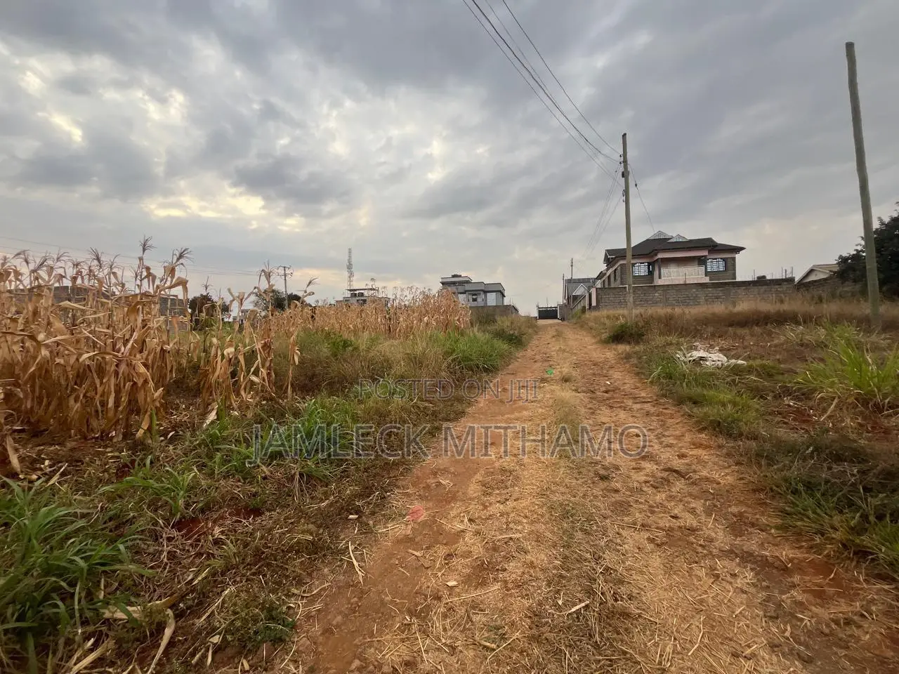 Plot for Sale