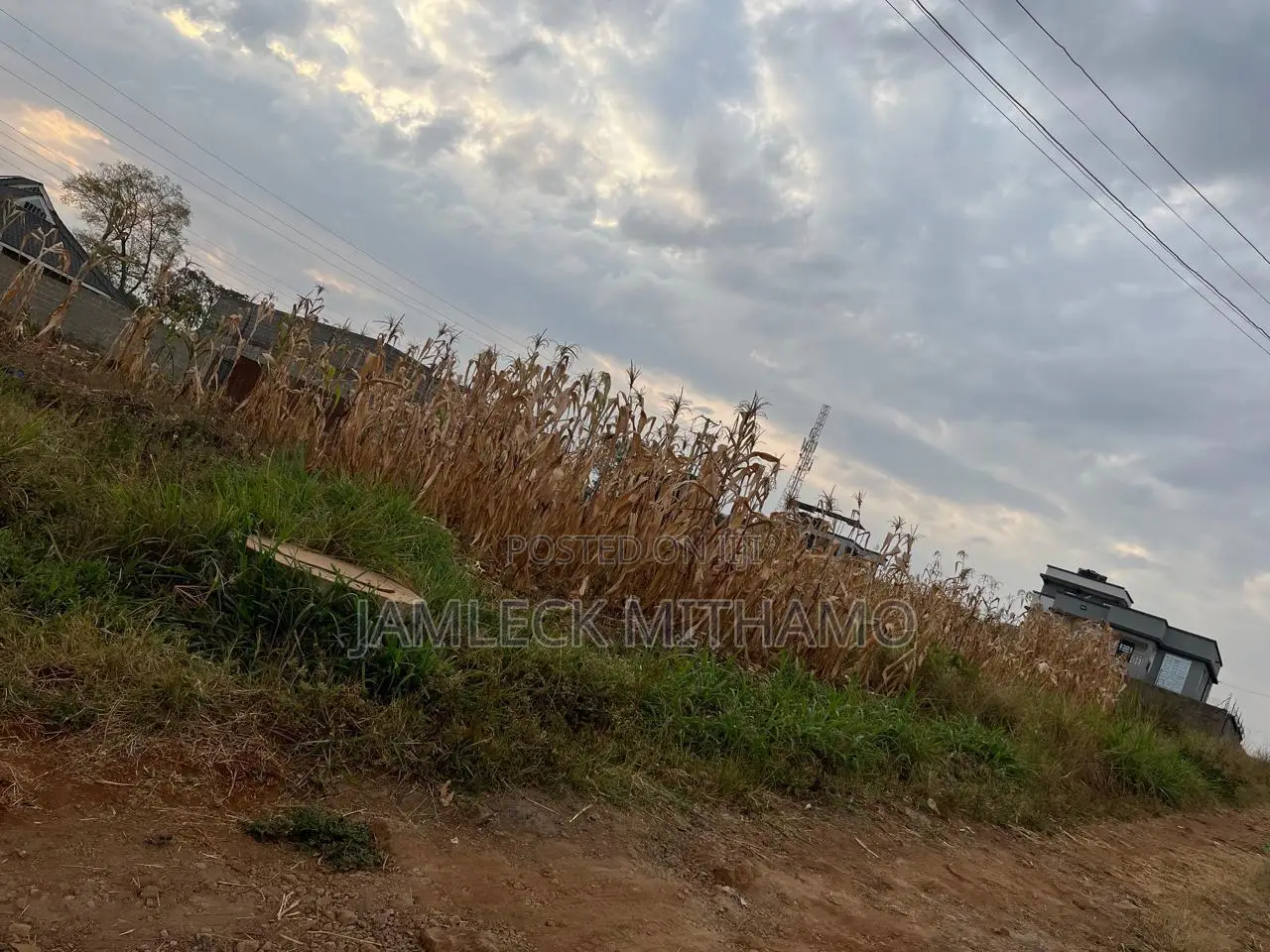 Plot for Sale