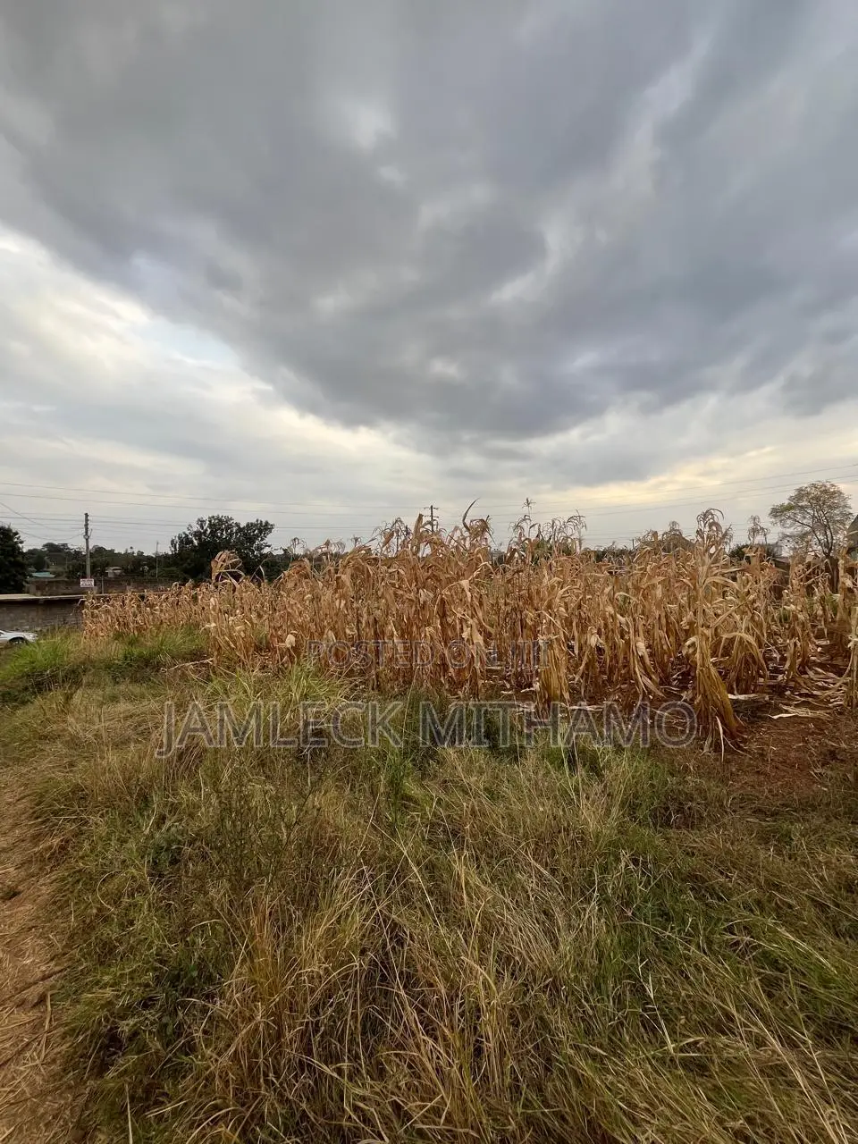 Plot for Sale