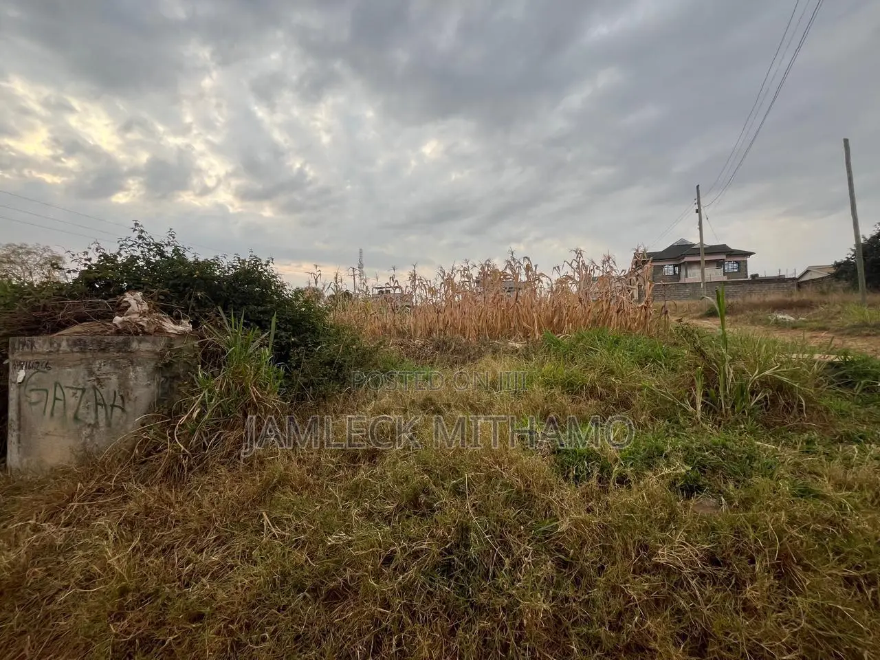 Plot for Sale