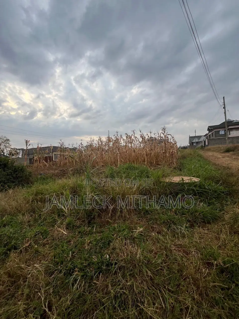 Plot for Sale