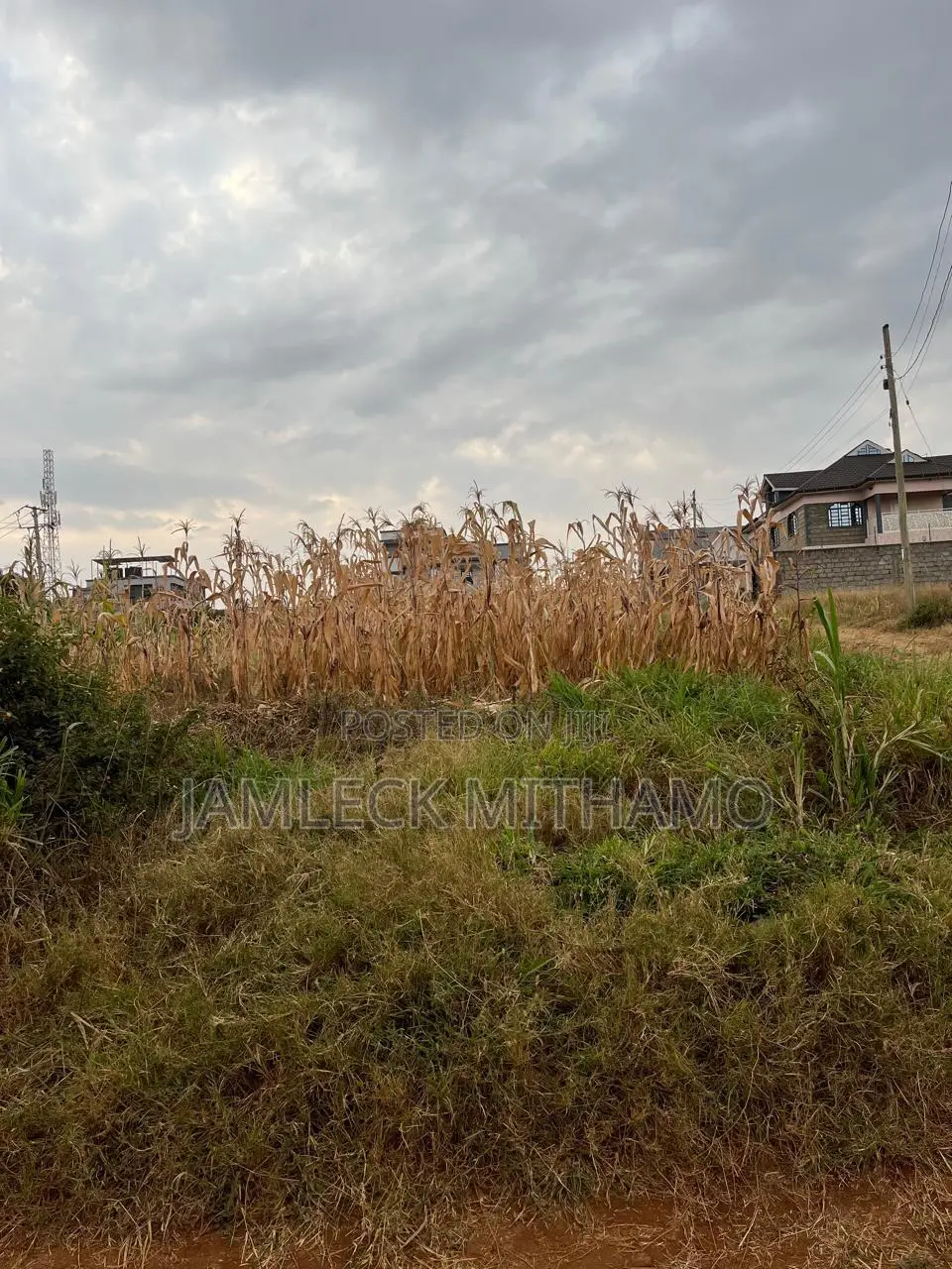 Plot for Sale