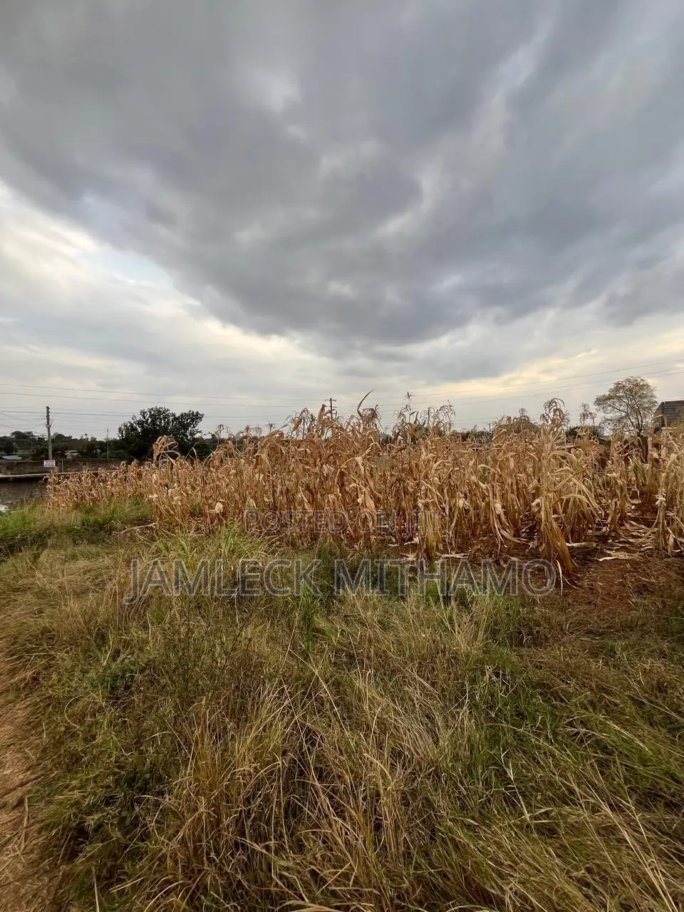 Plot for Sale
