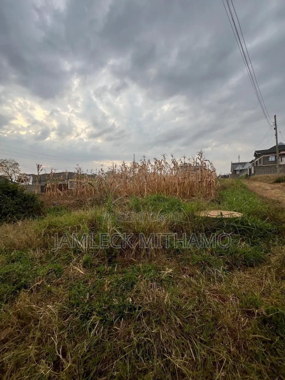 Plot for Sale