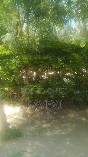 1/4 Acre Plots for Sale Mlolongo Touching Mombasa Road