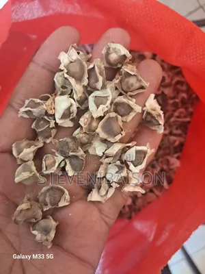 Moringa Oleifera Seeds