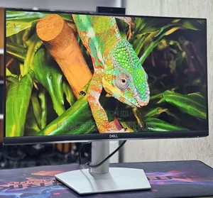 Dell S2422hz 24 Inches FHD Monitor With Webcam and Speakers