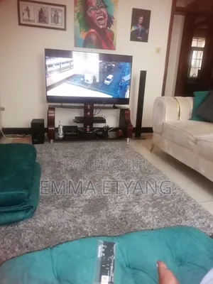 Elegant TV Stand