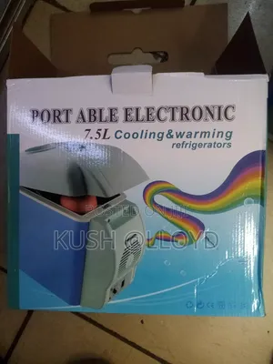 Portable Car Fridge