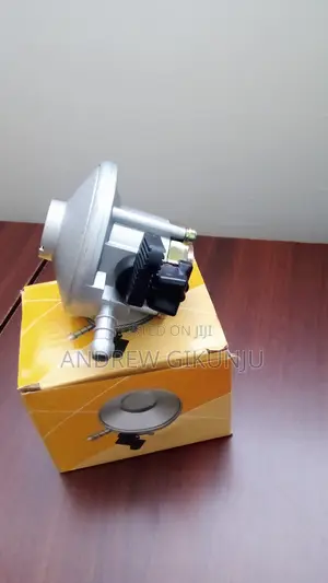 Gas Regulator