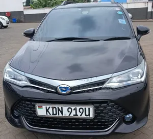 Toyota Corolla Fielder 2016 Black