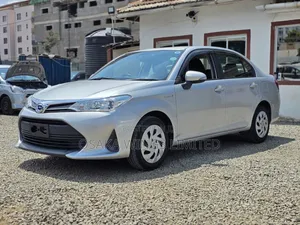 Toyota Axio 2019 Silver