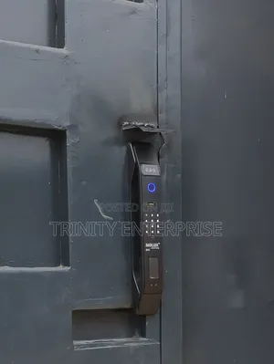 Smart Door|Smart Locks 3D Face Recognition Lock