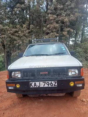 Nissan Pick-Up 1989 White