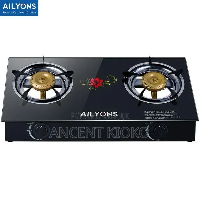 Ailyons Glass Top Two Burner
