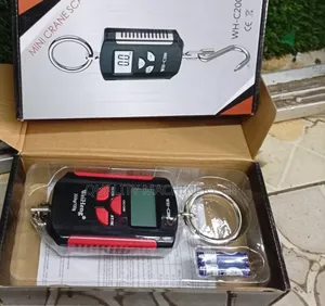 Accurate WH-C200 Crane Scale