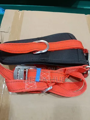 Fall Arrest Belt