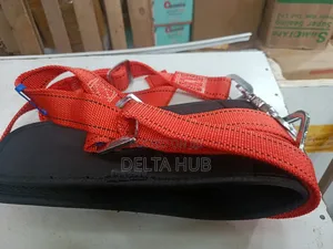Climbing Waist Harness