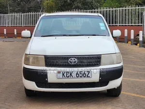 Toyota Probox 2010 Pearl