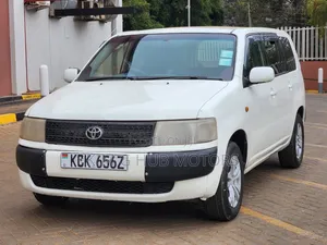 Toyota Probox 2010 Pearl
