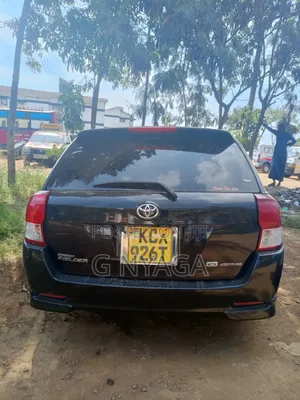 Toyota Corolla Fielder 2013 Black