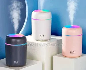 Portable 300ml USB Humidifier
