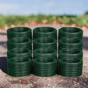 Rust-Free 100mm,200mm, 450mm 6m /8m/10m Length Barbed Razor Wire