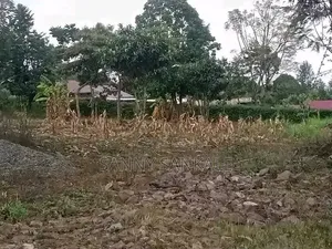 Plot on Sale
