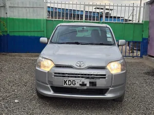 Toyota Probox 2015 Silver