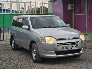 Toyota Probox 2015 Silver