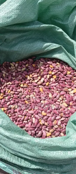 Nyayo Beans