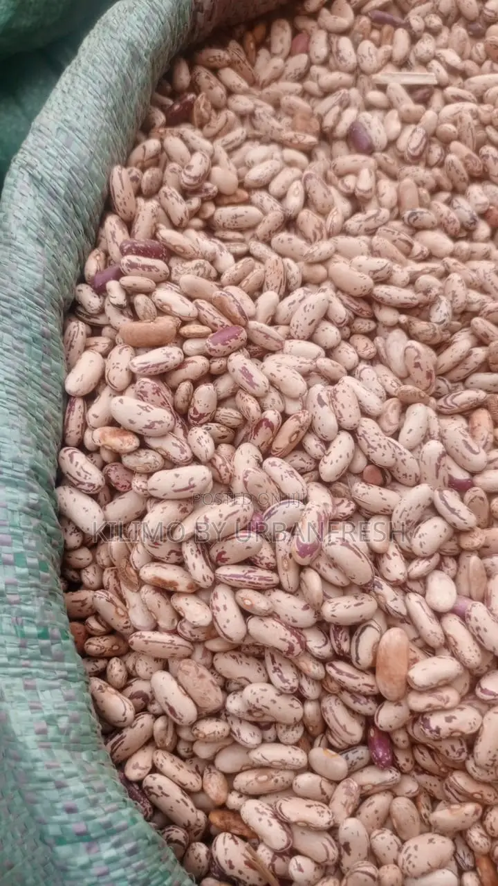 SugarBean Planting 10 Kgs.