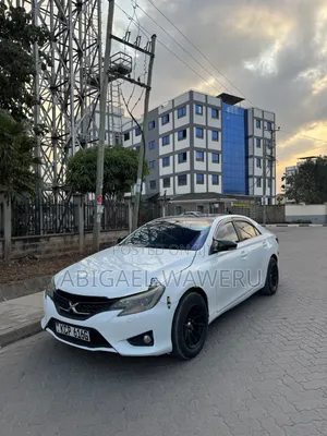 Toyota Mark X 2010 Pearl