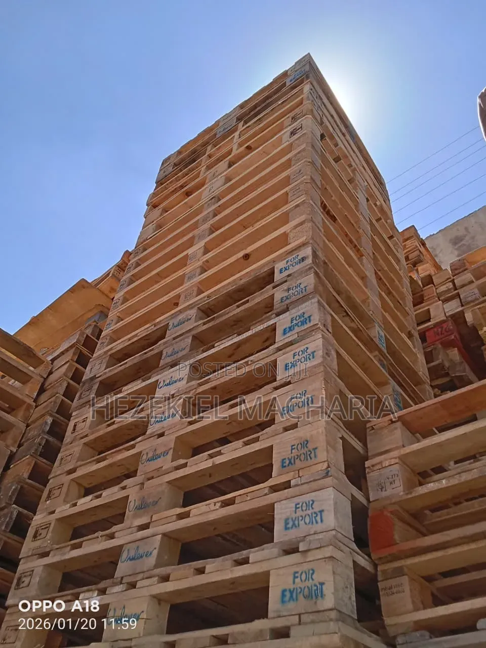 Wooden and Plastics Pallets