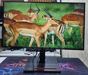 Lenovo ThinkVision P27h-20
27 Inch Resolution
 QHD (2560×1440)