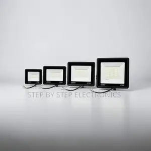 Heat-Resistant Premium 300W,100W,50W,30W AC Electric LED Flood Light