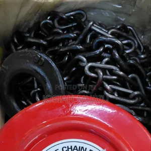 1 Tonne Industrial Chain Block