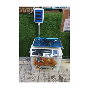 High Quality Durable Quality ACS 30 Upto 30Kgs Computerized