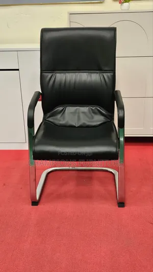 Executive Leather Cantilever Chair