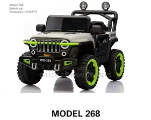 Premier Heavy Gauge Electric Car for Kids