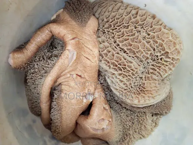 Matumbo Matumbo